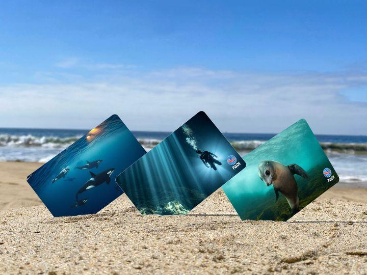 certification cards on the sand